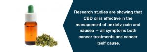 cbd oil for cancer cure